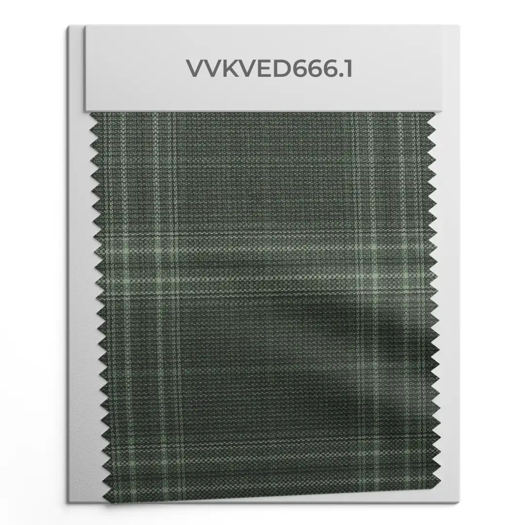 VVKVED666.1 VVKVED666.1