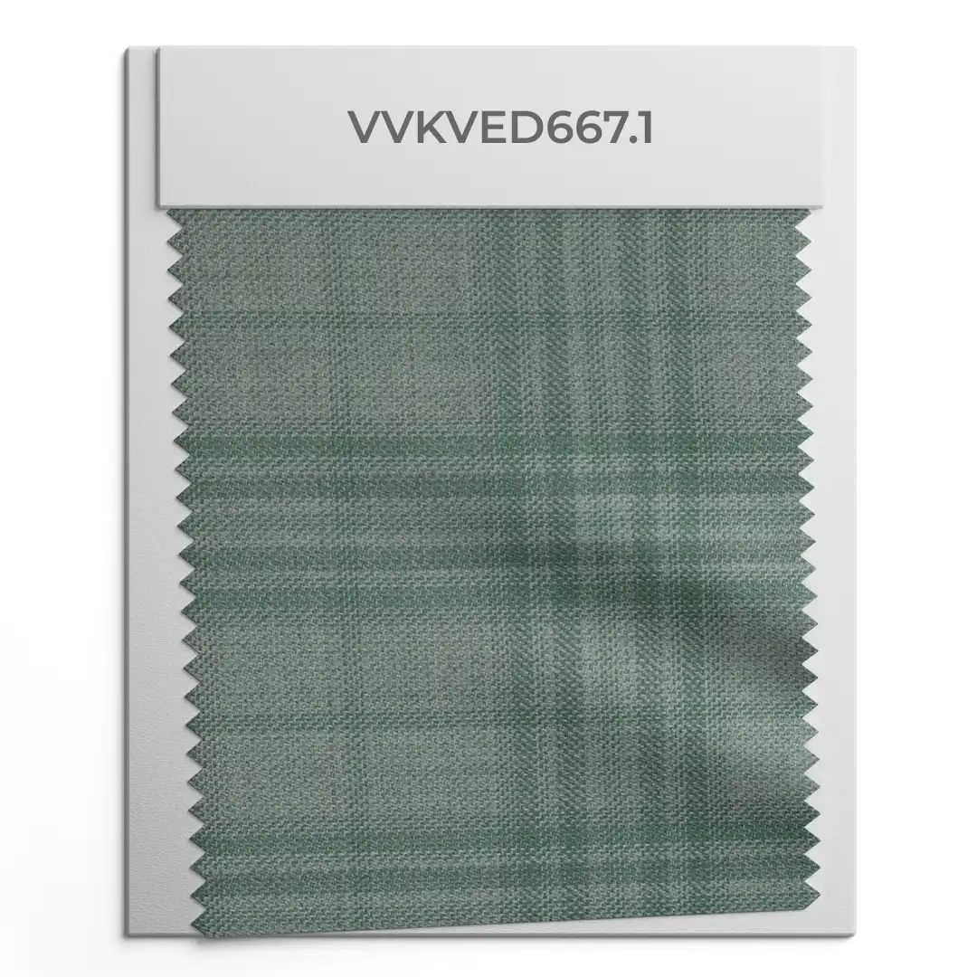 VVKVED667.1 VVKVED667.1