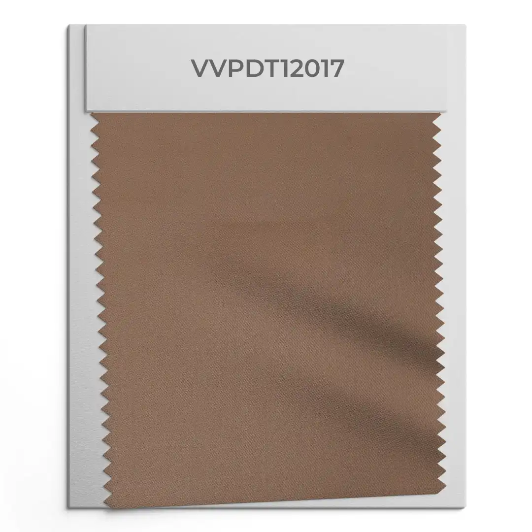 VVPDT12017 VVPDT12017